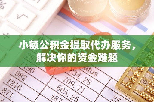 天涯小额公积金提取代办服务，解决你的资金难题