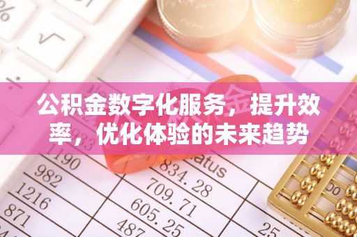 天涯公积金数字化服务，提升效率，优化体验的未来趋势