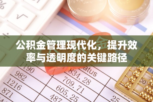 天涯公积金管理现代化，提升效率与透明度的关键路径