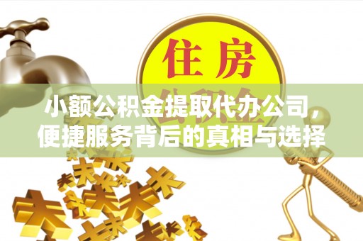 天涯小额公积金提取代办公司，便捷服务背后的真相与选择