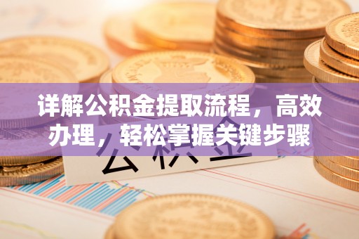 天涯详解公积金提取流程，高效办理，轻松掌握关键步骤
