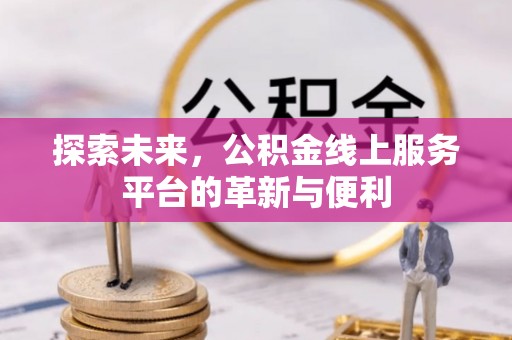 天涯探索未来，公积金线上服务平台的革新与便利