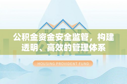 天涯公积金资金安全监管，构建透明、高效的管理体系