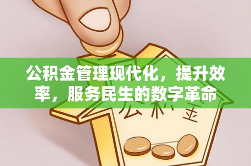 天涯公积金管理现代化，提升效率，服务民生的数字革命