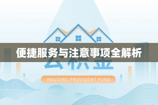 天涯便捷服务与注意事项全解析