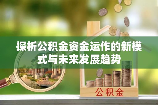 天涯探析公积金资金运作的新模式与未来发展趋势