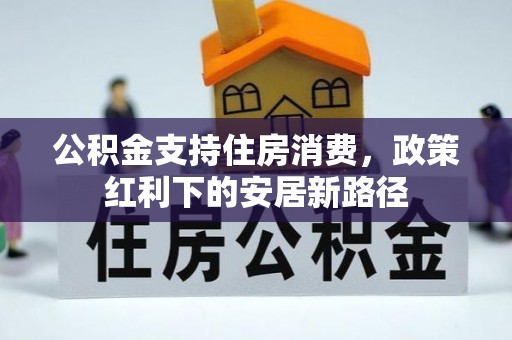 天涯公积金支持住房消费，政策红利下的安居新路径