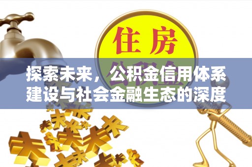 天涯探索未来，公积金信用体系建设与社会金融生态的深度融合