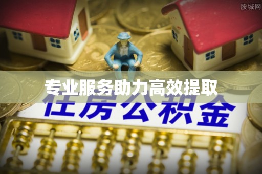 天涯专业服务助力高效提取