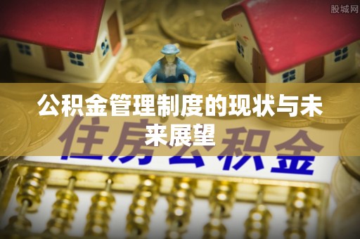 天涯公积金管理制度的现状与未来展望