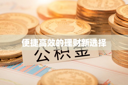 天涯便捷高效的理财新选择